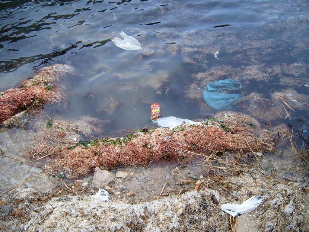 Pollution diffuse et déchets plastiques milieu marin Etang de Berre - Détritus dans la nature