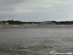 Noirmoutier_samedi_13_sept_08_030