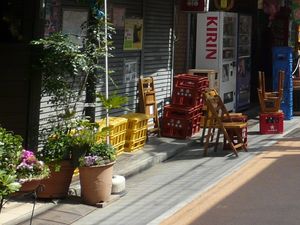 Canalblog_Rues_Plantes16_Yanaka_Ginza_D_tail01