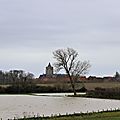 IMG_0263