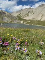 lac de l'Ascension