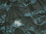PDVD_013