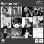 2019-cal_carre-teneues-1b