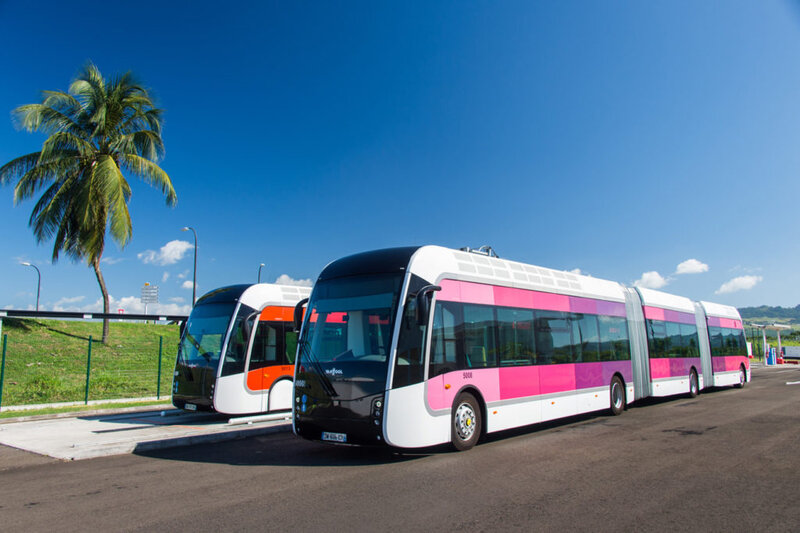 TCSP-Mozaik-bus2