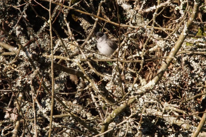 DSC02504