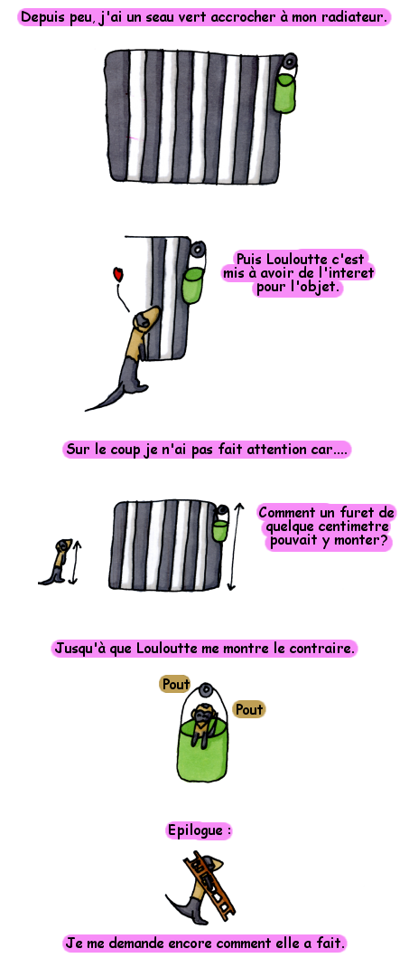 louloutteseau