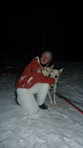 chiens3