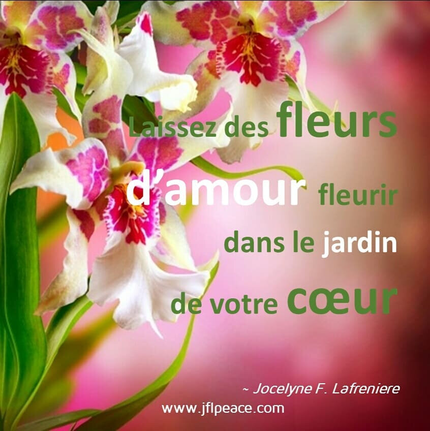 Laissez Des Fleurs D Amour Fleurir Dans Le Jardin De Votre Cœur Arc En Si Elles