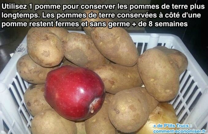 conserver-pommes-de-terre