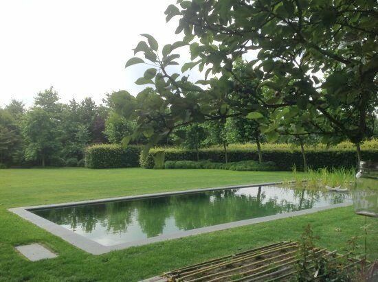DE GROTE KIEVIT GEEL chambre hotes (5)