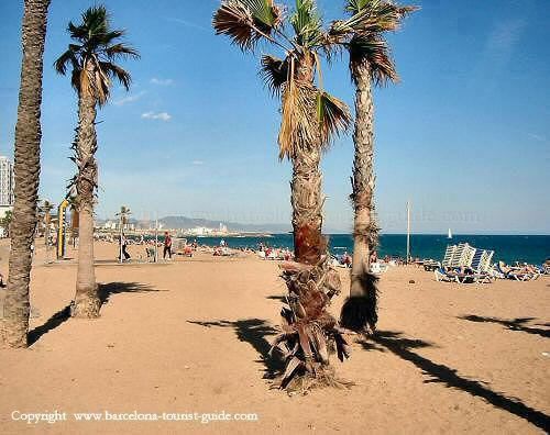 beach-barceloneta-05_jpg