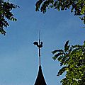 IMGP8096