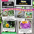 19 septembre : botanique herboristerie et musique des plantes chez sarah despinoy