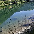 _DSC0236