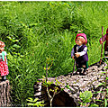 IMG_0526-1-2