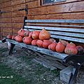 L'automne semble s'installer. on a même du mal à