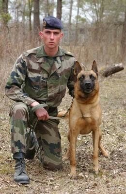 Devenir Maitre Chien A L Armee Le Blog De Sebastien