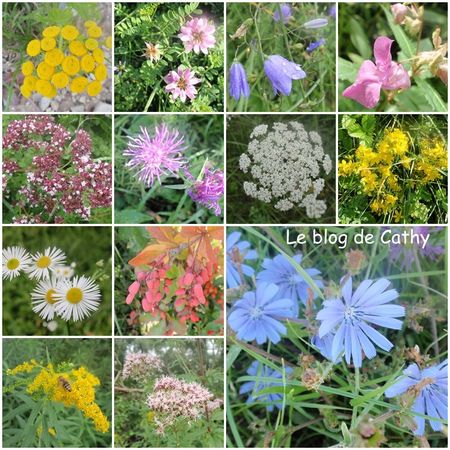 fleurs_Alsace