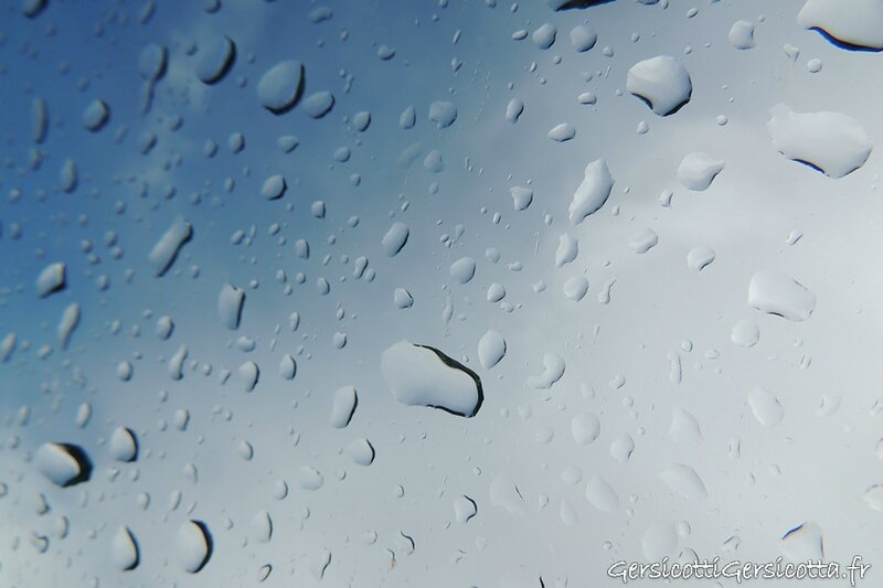 DSCN3989