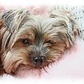 Pinterest - Mary Anne Mistick