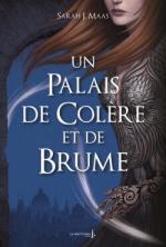 un-palais-de-colere-et-de-brume-1011701-250-400