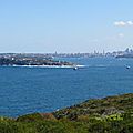DSC00194