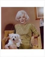 1961-beverly_hills_hotel-by_eric_skipsey-030-1-color1