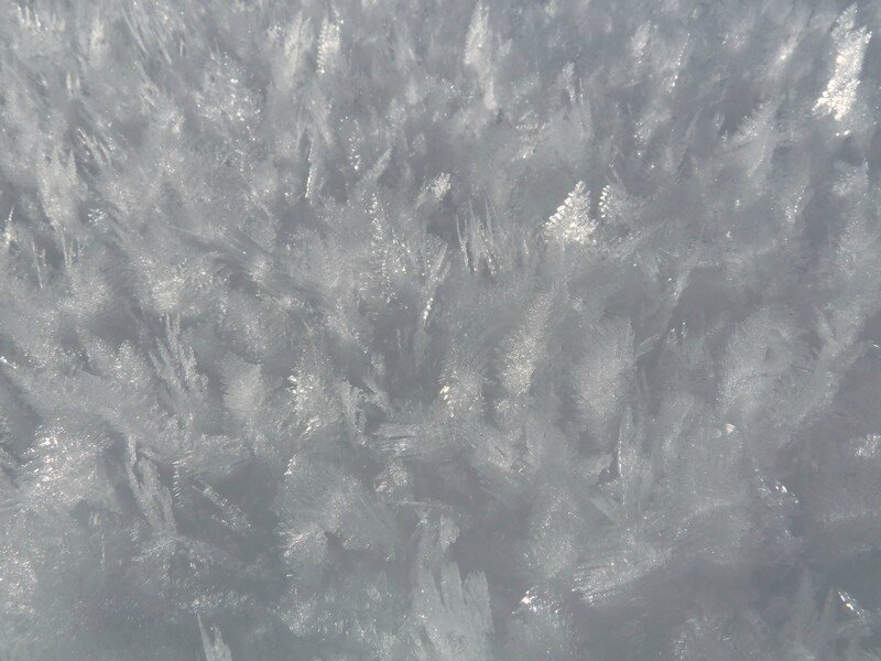 P1130795