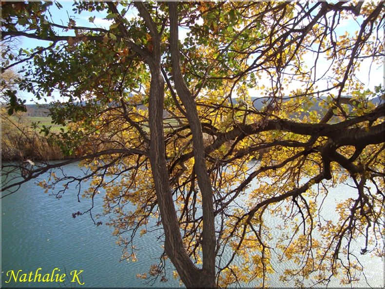 _c_LNK_le_12_novembre_2010_023_copie