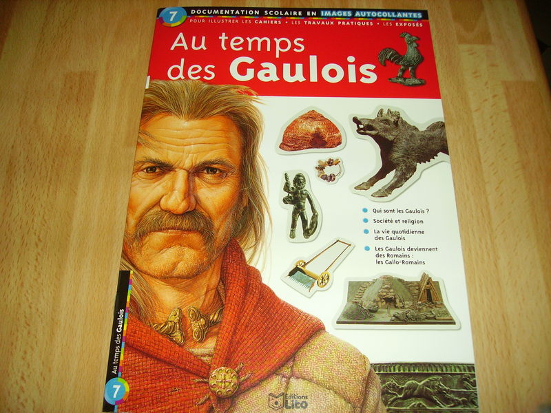 C'est Pas Sorcier Les Gallo Romains C'est Pas Sorcier Les Gaulois Questionnaire : C'est pas sorcier