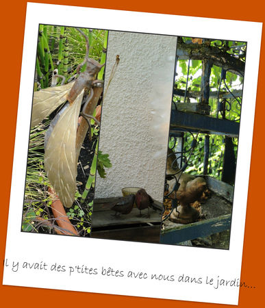 Picnik_collage