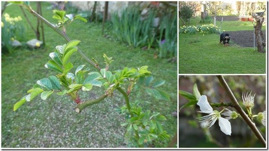 Jardin 25 mars 20233