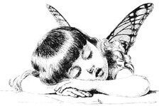 papillon
