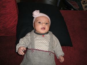 DSC02613