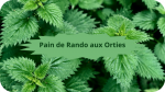 1 ortie(3)Pain de rando aux orties-modified