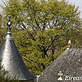 Le FAOUET / Chapelle Sainte Barbe.