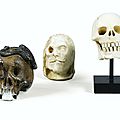 Ensemble de trois crânes: deux en ivoire, Allemagne, XVIIIe-XIXe siècle, et un en porcelaine. Photo Sotheby's