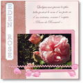 jardin page14