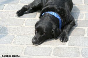 4_mai_2007_148_copie