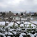 neige dans les jardins 4 février 2012