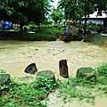 IMG_0029 (Copier)