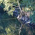 Au parc oberthür à rennes le 31 octobre 2016 (3)