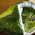 Je ne vous ai jamais parlé du sac à salade