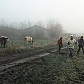 IMGP9047
