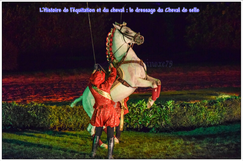 L'Histoire de l'équitation et du cheval le dressage du Cheval de selle Puy du Fou Cinéscénie