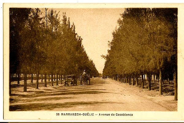 Avenue de CasablancaN°38Roudnev_