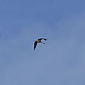 IMG_8469