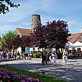 IMGP4661