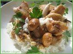 lapin_bolets