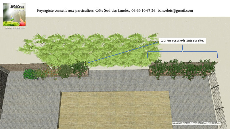 Paysagiste-Saint-Martin-de-Seignanx-Paysagiste-Landes-avril-2022-41